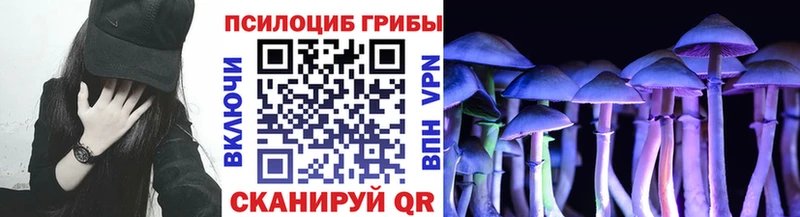 Галлюциногенные грибы Psilocybine cubensis blacksprut онион Владикавказ
