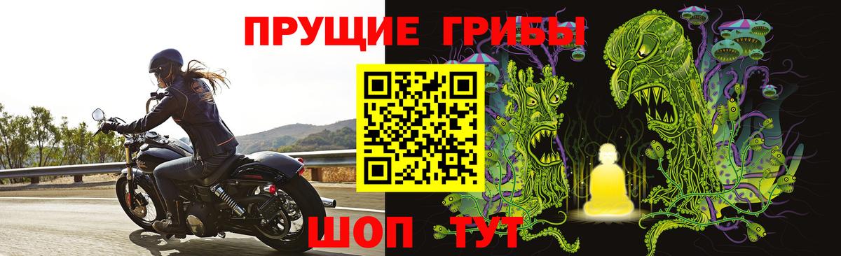 Псилоцибиновые грибы Psilocybe  Вход с VPN  Владикавказ  Псилоцибиновые грибы Psilocybine cubensis 