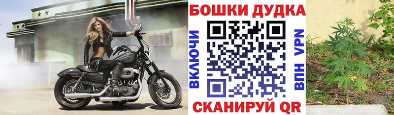 кракен tor  Владикавказ  Бошки Шишки семена 